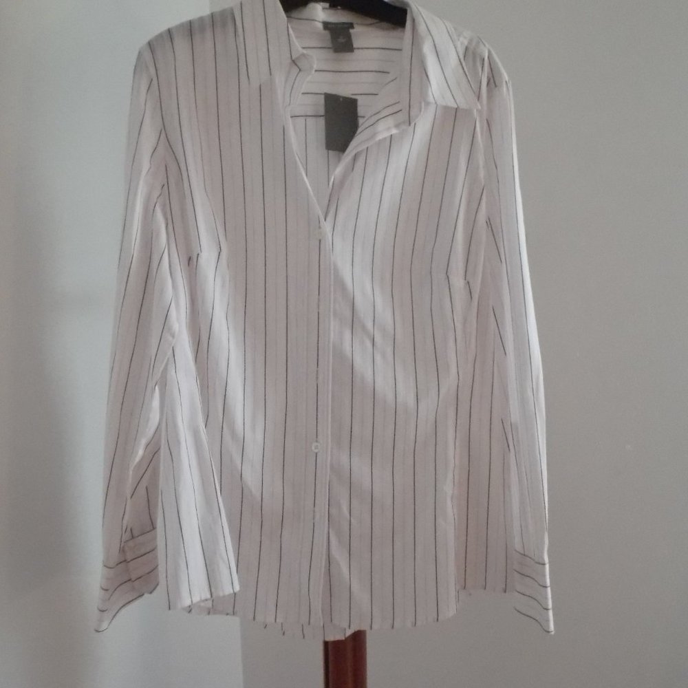 Ann Taylor Cotton Pinstripe Oxford Sz16 NWT